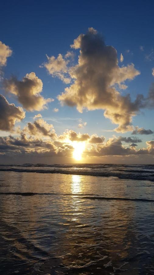 Encantos Da Ilha *